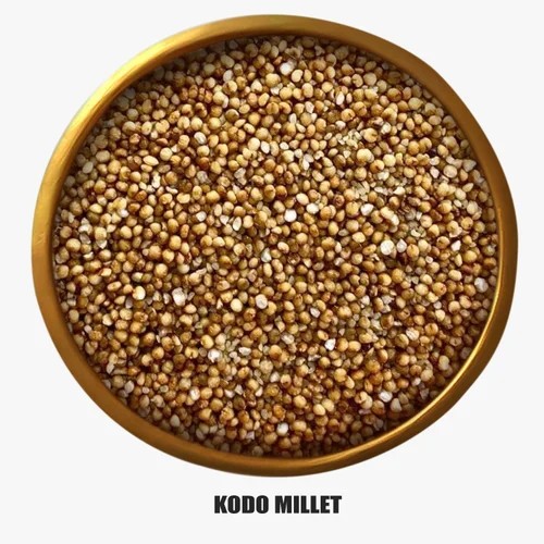 Kodo Millet